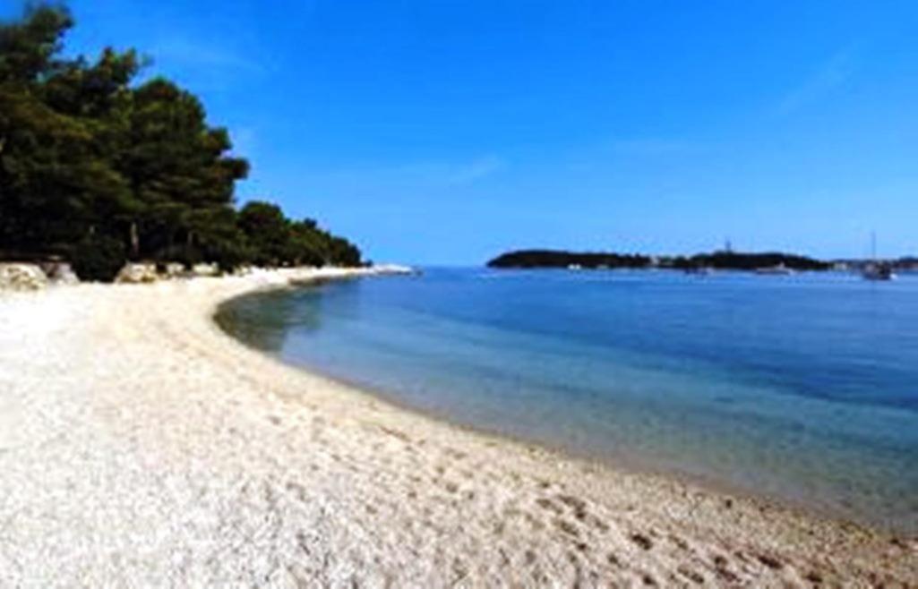 Apartment L'ulivo Rovinj