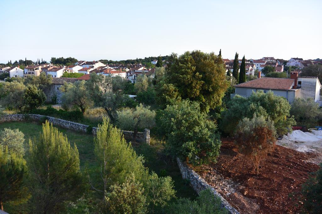 Apartment L'ulivo
