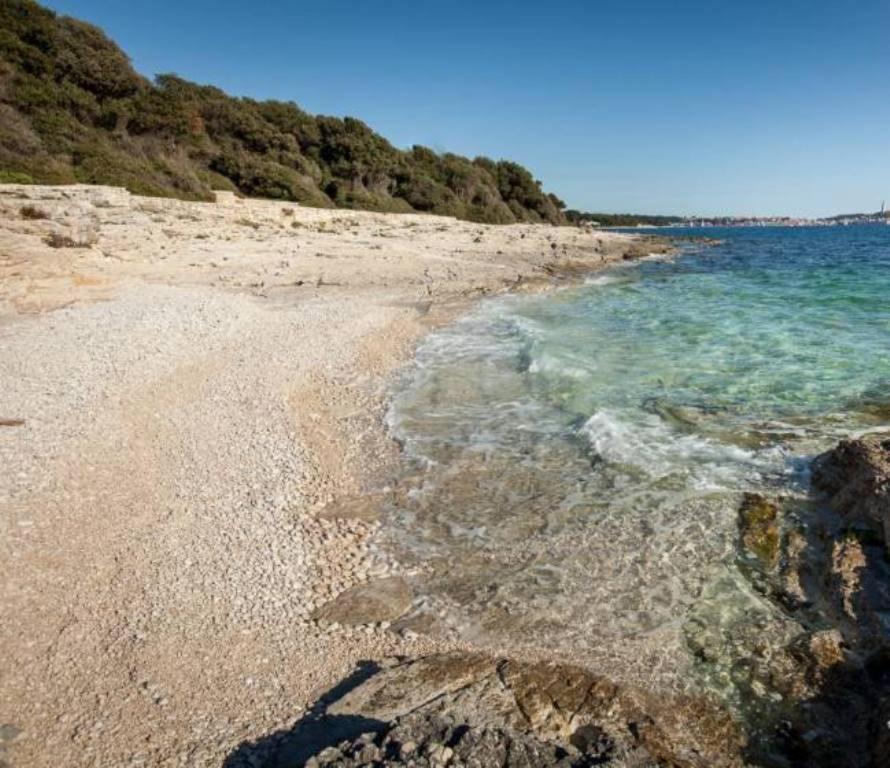 L'ulivo Apartman