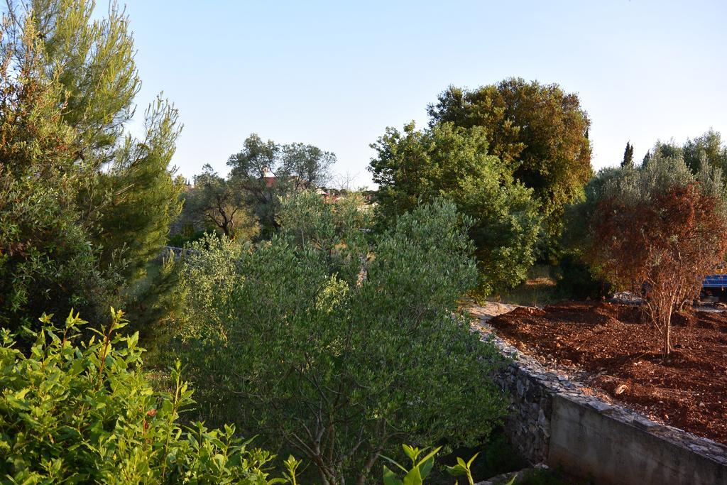 L'ulivo Apartman *